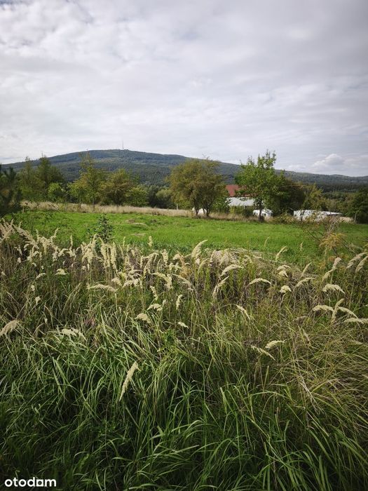 Działka rolna 2600 m² w Sulistrowicach z widokiem na Masyw Ślęży