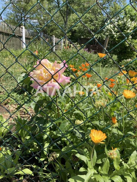 Продам будинок у селі Паліївка з земельною ділянкою 107 соток!