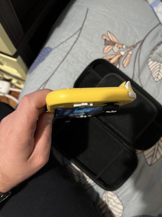 Nintendo switch lite