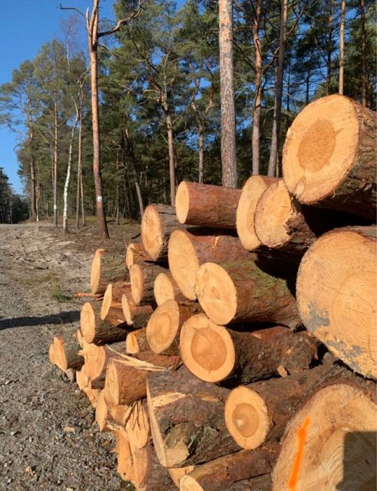 Дрова  акация берест клён ясень дуб сосна