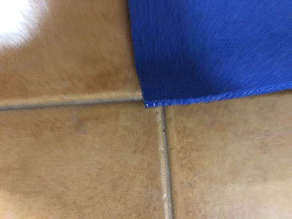 Tapete ioga praticamente novo