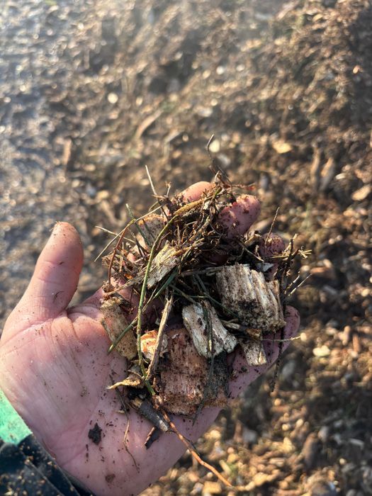 Zrębka sosnowa pod Borowke Borowka trociny torf transport podłoże