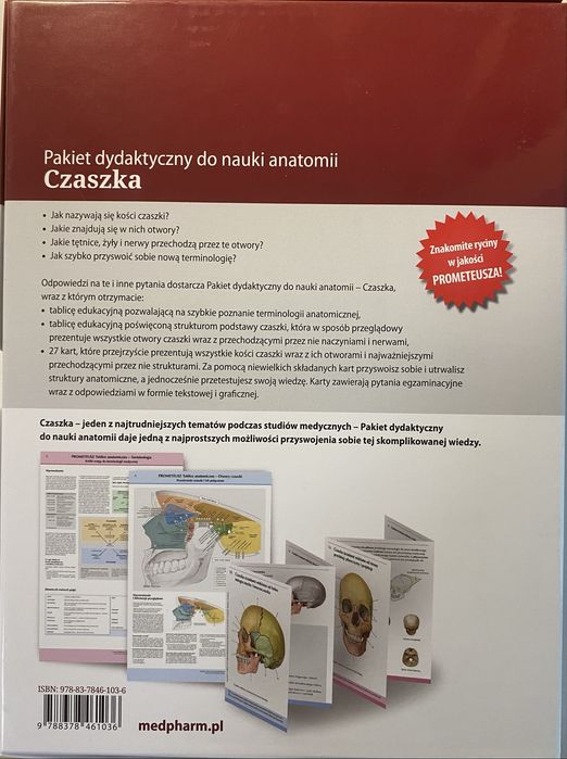 Czaszka PROMETEUSZ, pakiet dydaktyczny do nauki anatomii