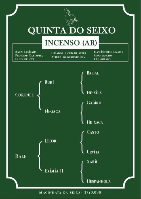 Incenso AR Puro Sangue Lusitano