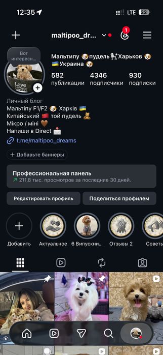 Міні хлопчик мальтіпу  ф1