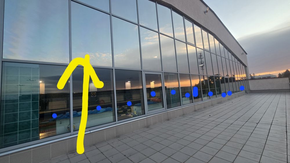 Lusto weneckie, folia na okna