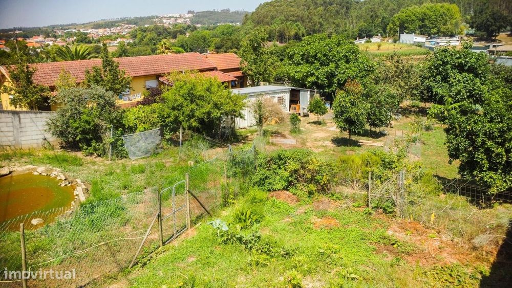 Terreno Urbanizável – São João de Ver, Santa Maria da Feira (com água