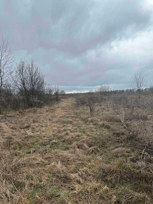Продається велика земельна ділянка під будівництво в с. Підгір'я