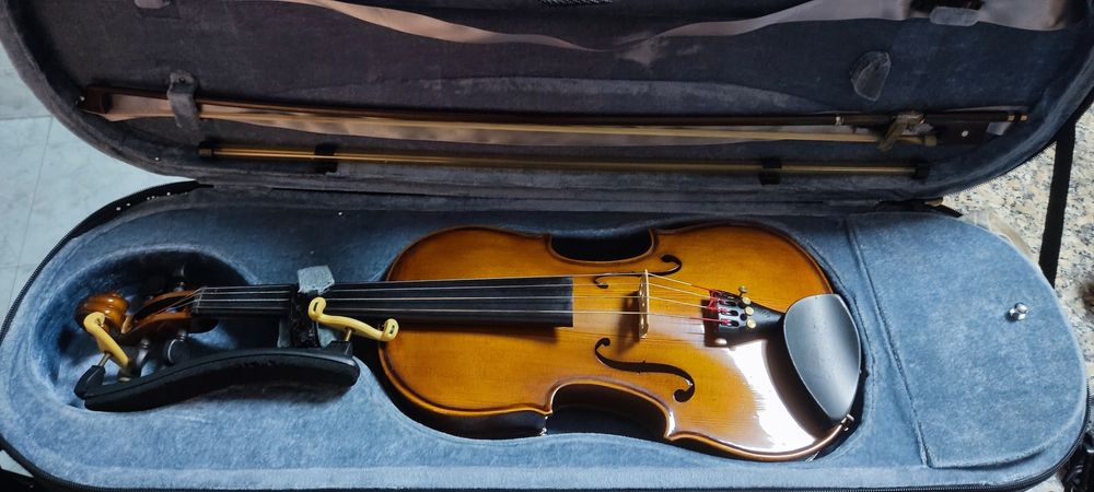 Viola de arco stentor