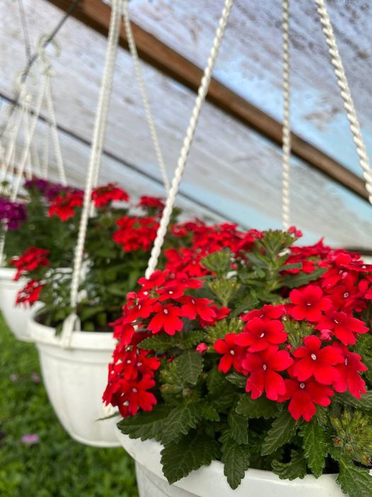 Интерьер для сада