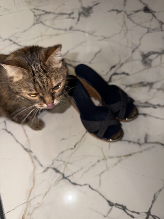 Туфлі Jimmy Choo оригінал