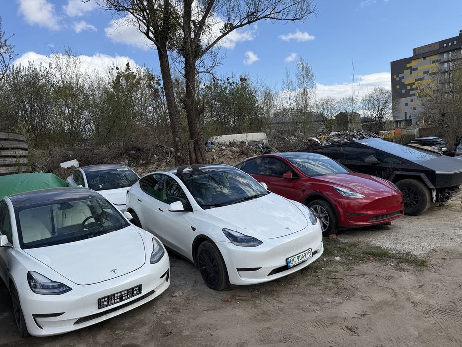 Tesla під ключ Львів | Батарея / Прошивка / ДТП