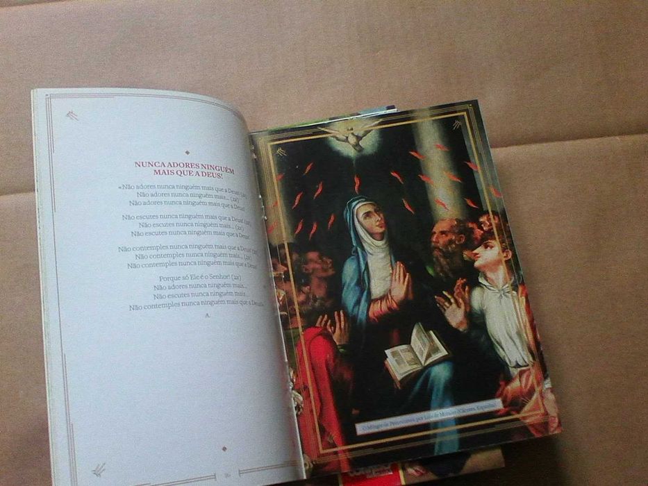 O Meu Ano de Fé - 18 livros