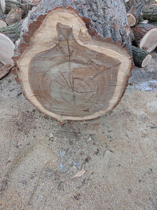 Sprzedam.plastery,dębowe 10 sztuk