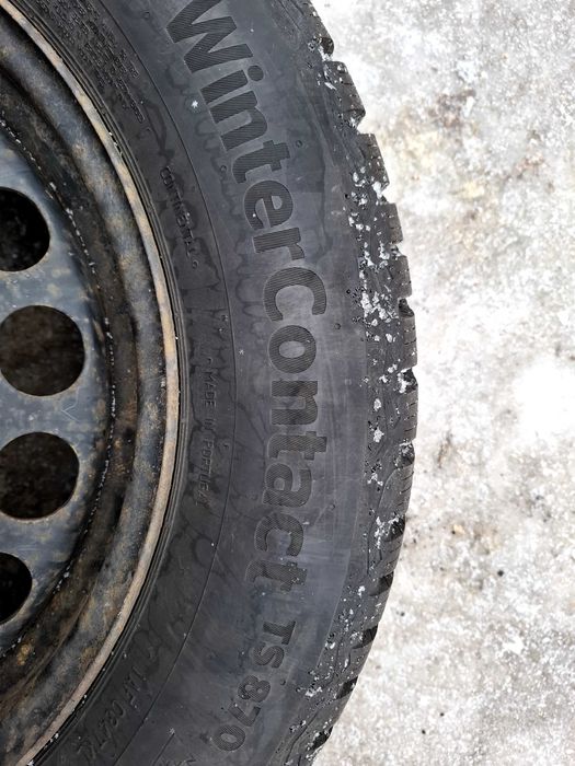 Continental Winter Contact TS870 215 60 R16