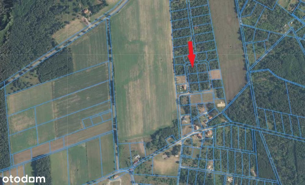 Na sprzedaż działka budowlana 1604 m², MPZP, Ostrowina, gm. Oleśnica