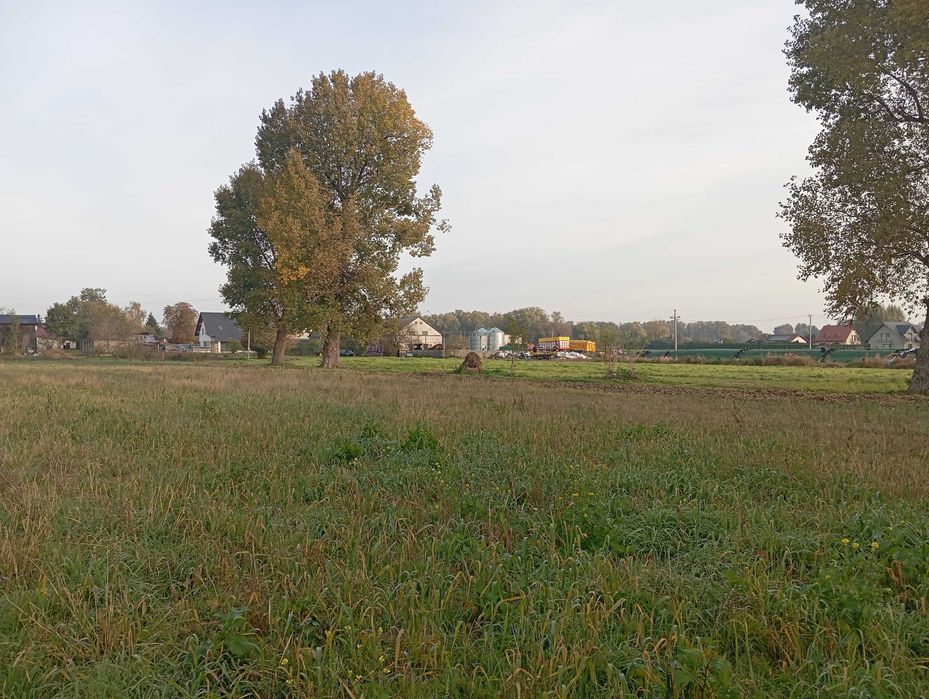 Działka budowlana Cieplewo (Pruszcz Gdański) - Widok 5