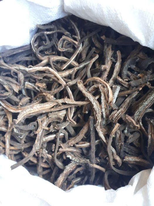 Корінь лопуха сухий( сирий) пирій