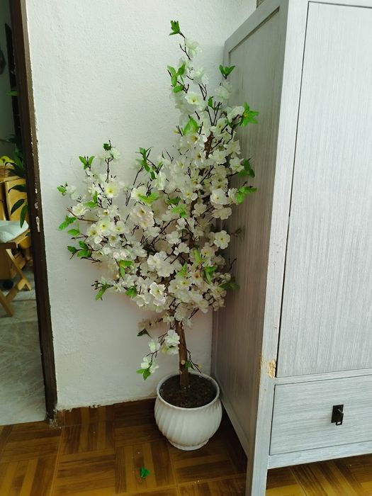 Mini white Christmas tree
