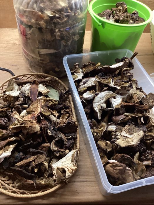 Grzyby suszone podgrzybek,prawdziwek borowik 100gr