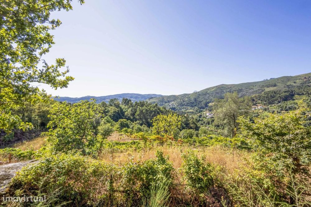 Quinta com 2 Hectares e Casa em Pedra para Recuperar em Gomide, Vila V