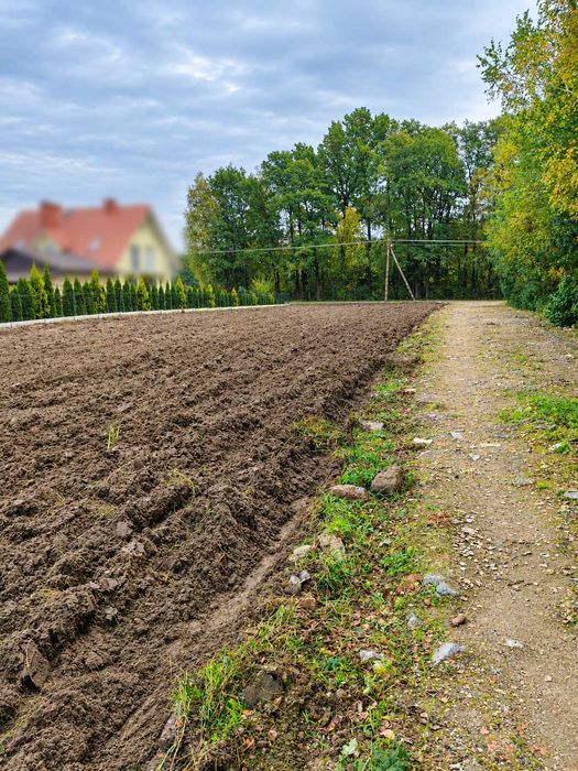 5 działek budowlanych z WZ - Trzeboś - Więcej