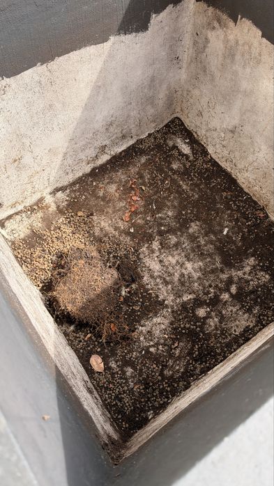 Vaso grande dimensões 1m x 1m