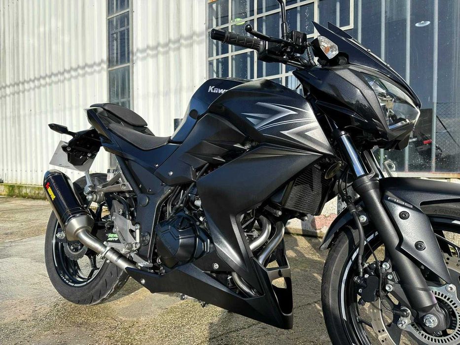 Kawasaki Z300 Performance 2017