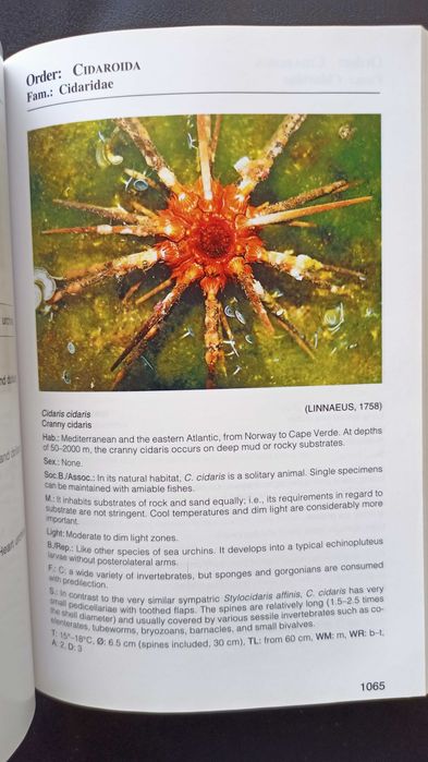 3 livros Atlas de Água Salgada (peixes, corais e invertebrados)