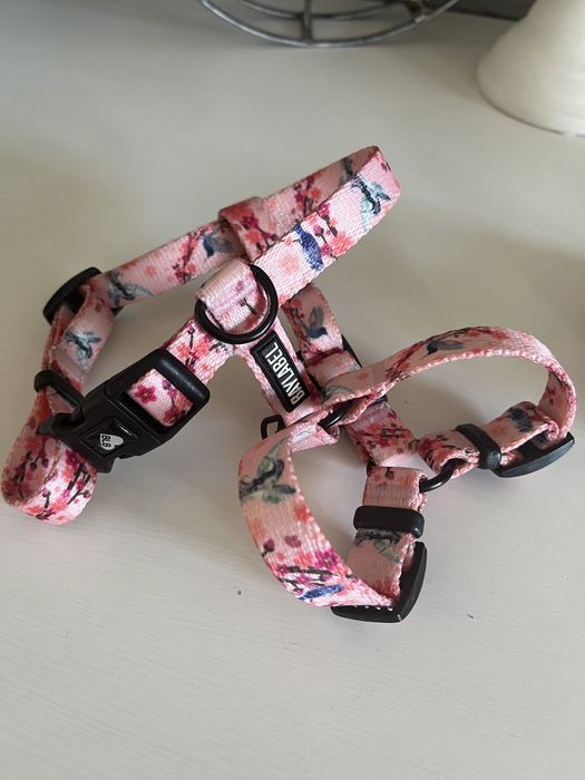 Szelki i smycz Baylabeer