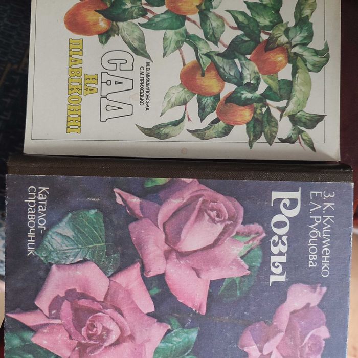 литература по интересам