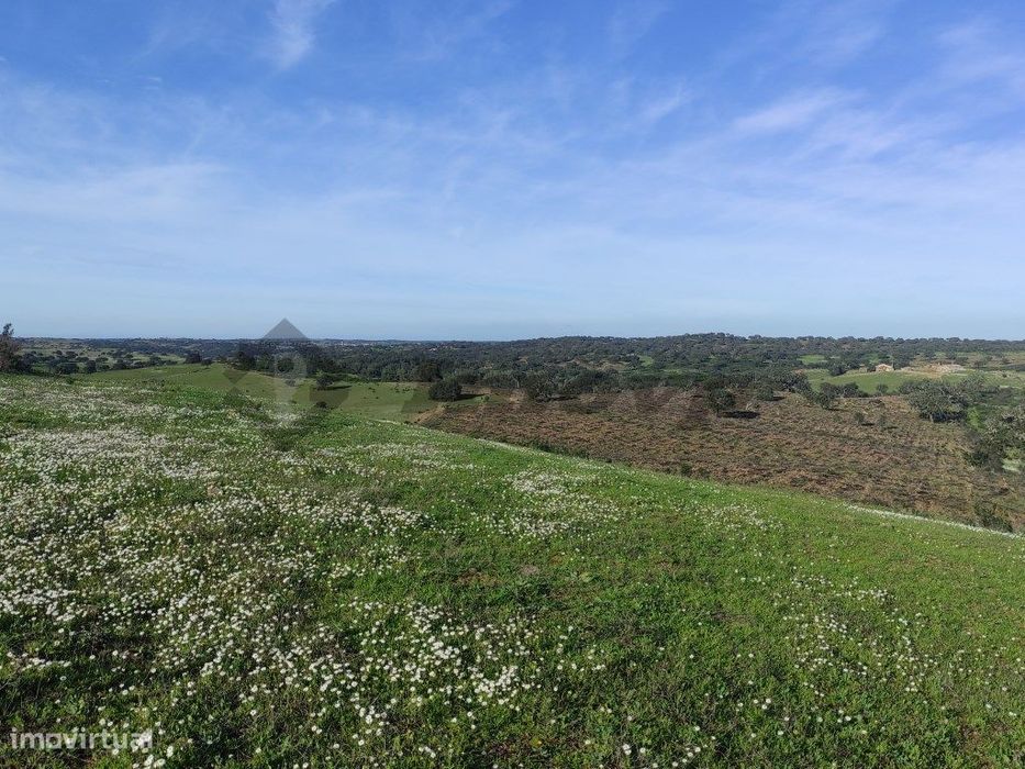 Rustic land of 9.1 ha located 1 km from the locality of Dogueno
