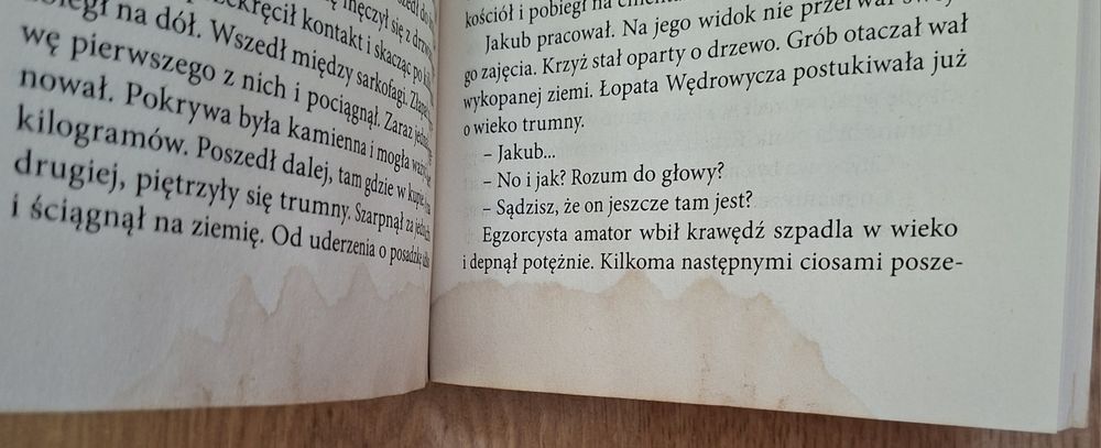 Kroniki Jakuba Wędrowycza