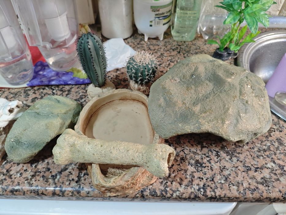 Acessórios para terrários