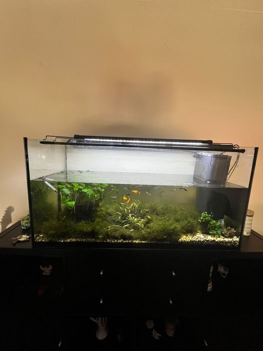 Vendo Aquário 200 litros