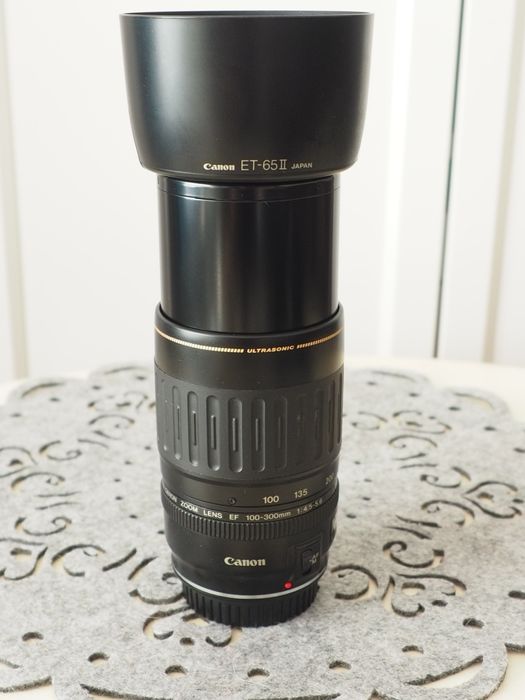 Canon EF 100-300 mm f/4.5-5.6 USM