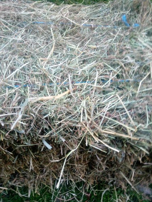 Siano w kostkach i słoma