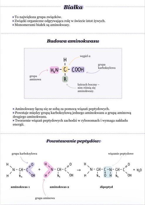 Korepetycje biologia