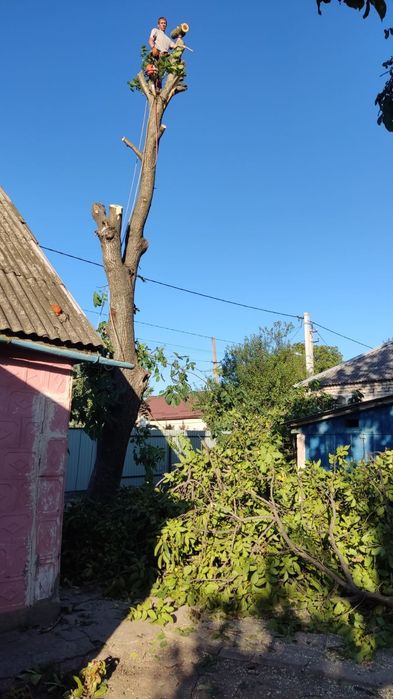 Спил, обрезка. Измельчение веток.