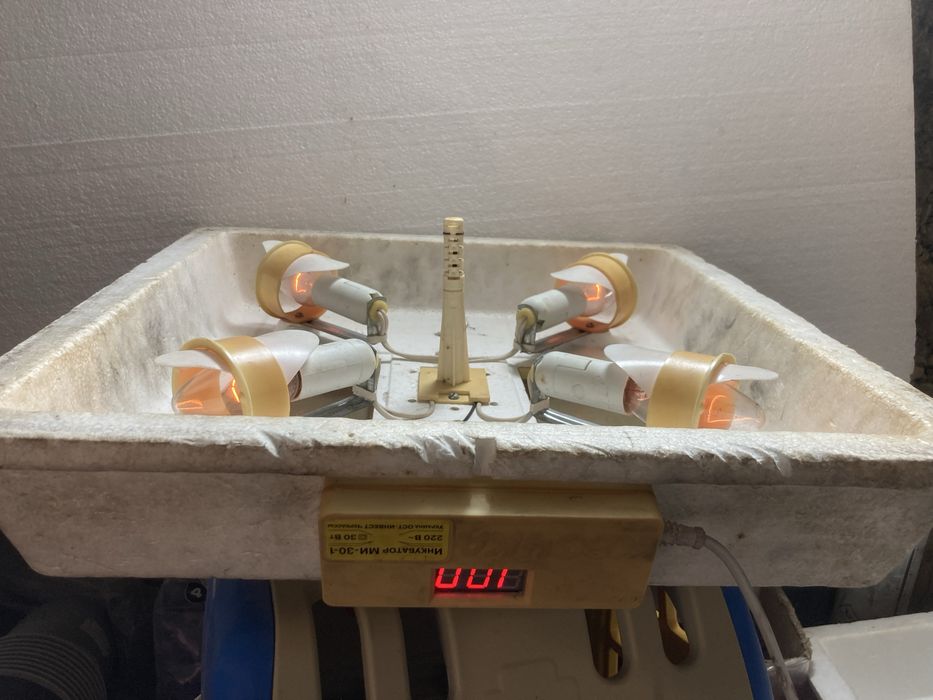 Інкубатор з ручним обертанням б/у