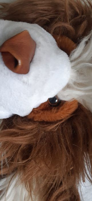peluche GD caozinho