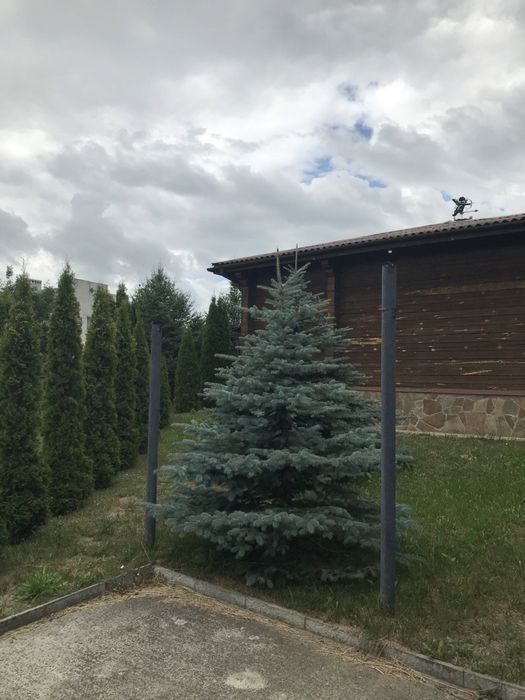 Продам новий дім із дерев'яного бруса , с Киїнка