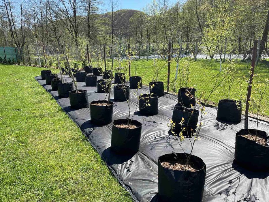 Сумки контейнери для рослин контейнери для саджанців лохина