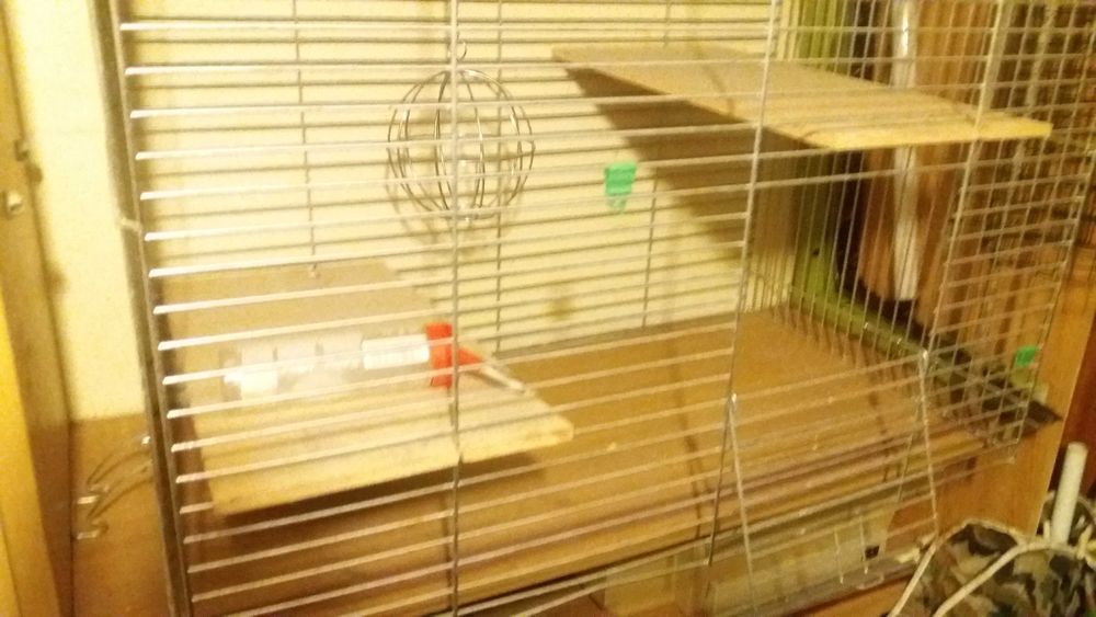 Duża klatka dla zwierzaka