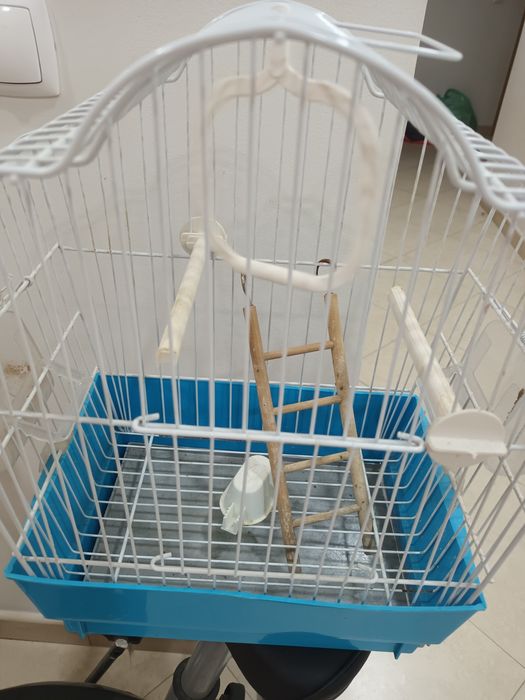 Gaiola para aves pequena