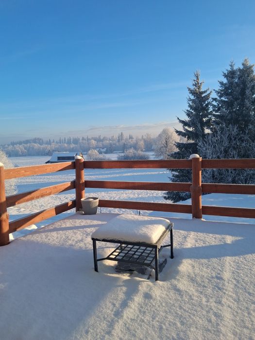 Apartament Pod Lipą