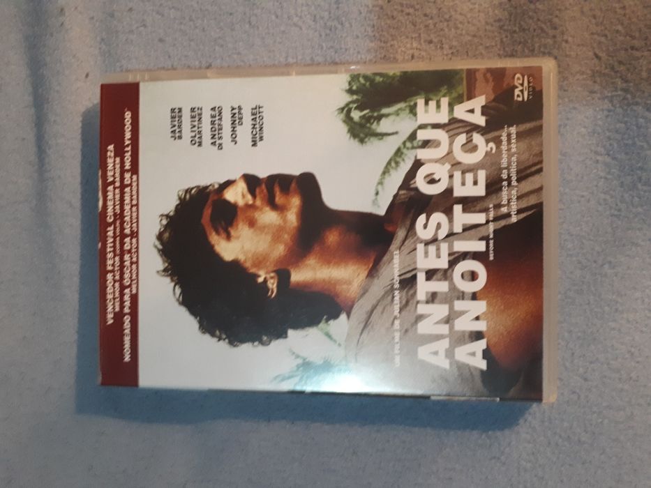 Before Nights Falls - Antes que Anoiteça