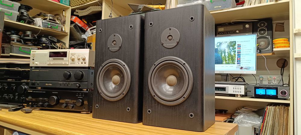 Акустика Infinity-RS 3001