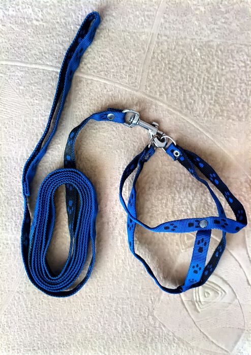 Поводок Dog Extrim,Шлея с поводком для маленьких собак и кошек