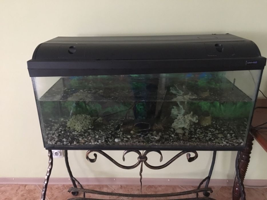 Акваріум для рибок